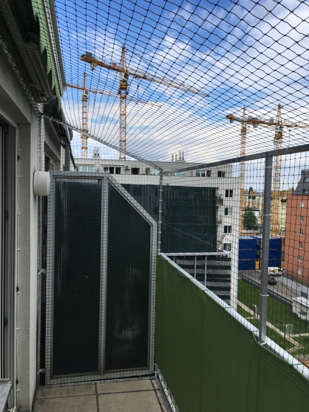 Balkon - Katzennetze Wien